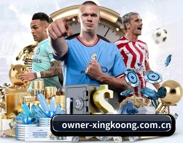 owner-xingkoong.com.cn的故事(xingkong)