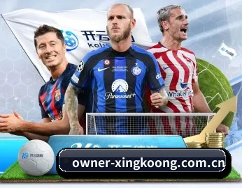 owner-xingkoong.com.cn的故事(xingkong)
