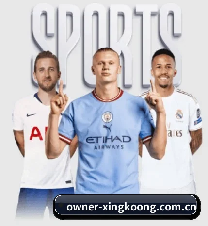 五大服务分区,信息按项目分类 | xingkong