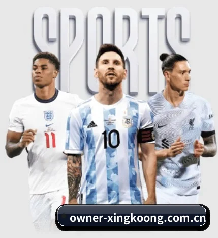 owner-xingkoong.com.cn的方向 - 长期内容价值积累(xingkong)